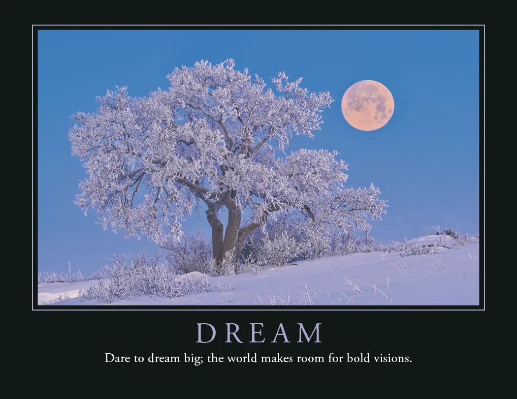 Motivational Wall Calendar FSC Paper UV Coated - 18.5 x 11 in - product view 17