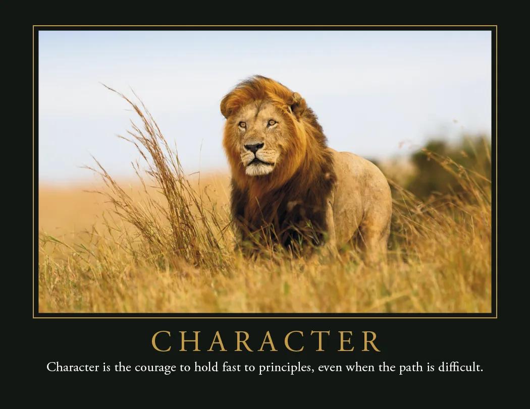 Motivational Wall Calendar FSC Paper UV Coated - 18.5 x 11 in - product view 25