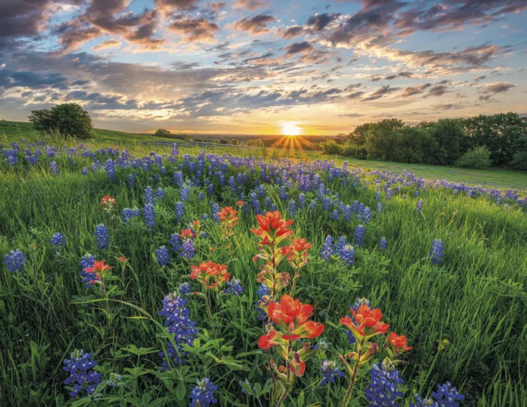 Religious Inspirations Wall Calendar FSC Paper - 18.5 x 11 in - product view 20