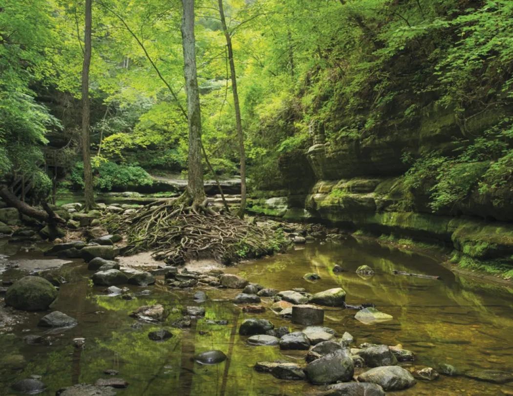 Religious Inspirations Wall Calendar FSC Paper - 18.5 x 11 in - product view 21