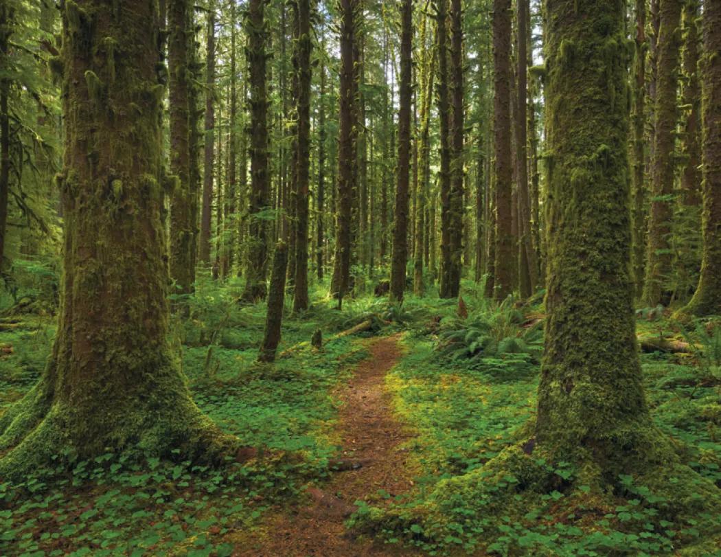 Religious Inspirations Wall Calendar FSC Paper - 18.5 x 11 in - product view 25