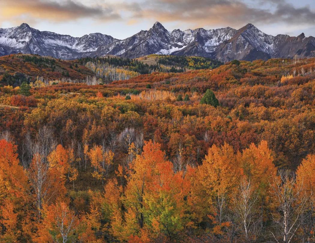 Religious Inspirations Wall Calendar FSC Paper - 18.5 x 11 in - product view 27