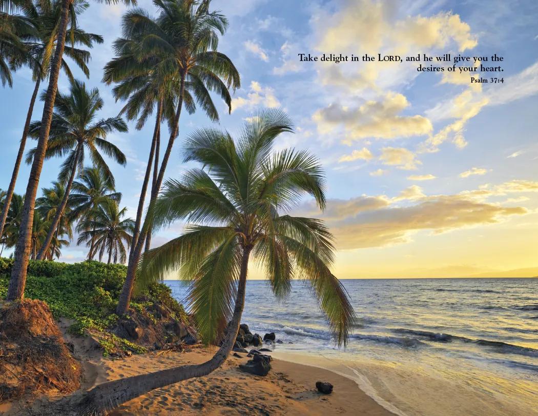 World Inspiration Wall Calendar Bible Verses - 18.5 x 11 in - product view 20