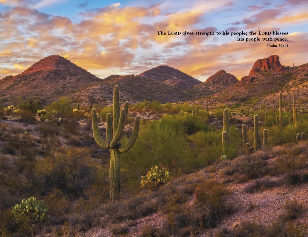 World Inspiration Wall Calendar Bible Verses - 18.5 x 11 in - product view 26