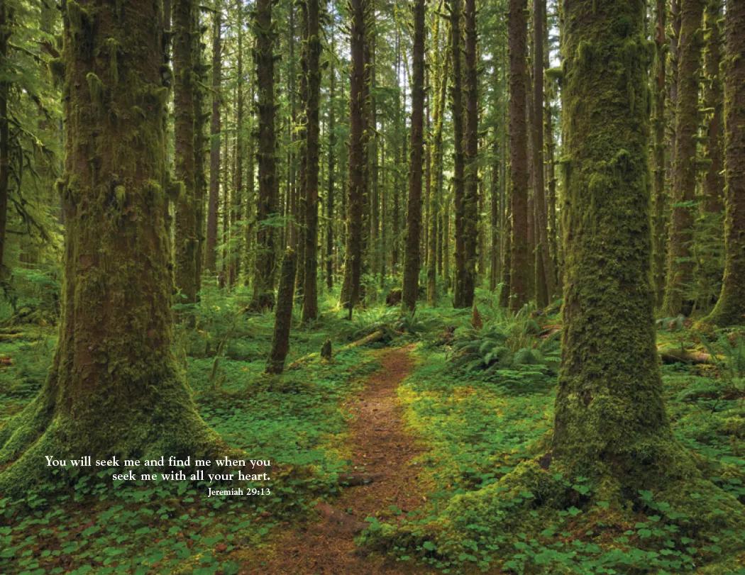 World Inspiration Wall Calendar Bible Verses - 18.5 x 11 in - product view 27