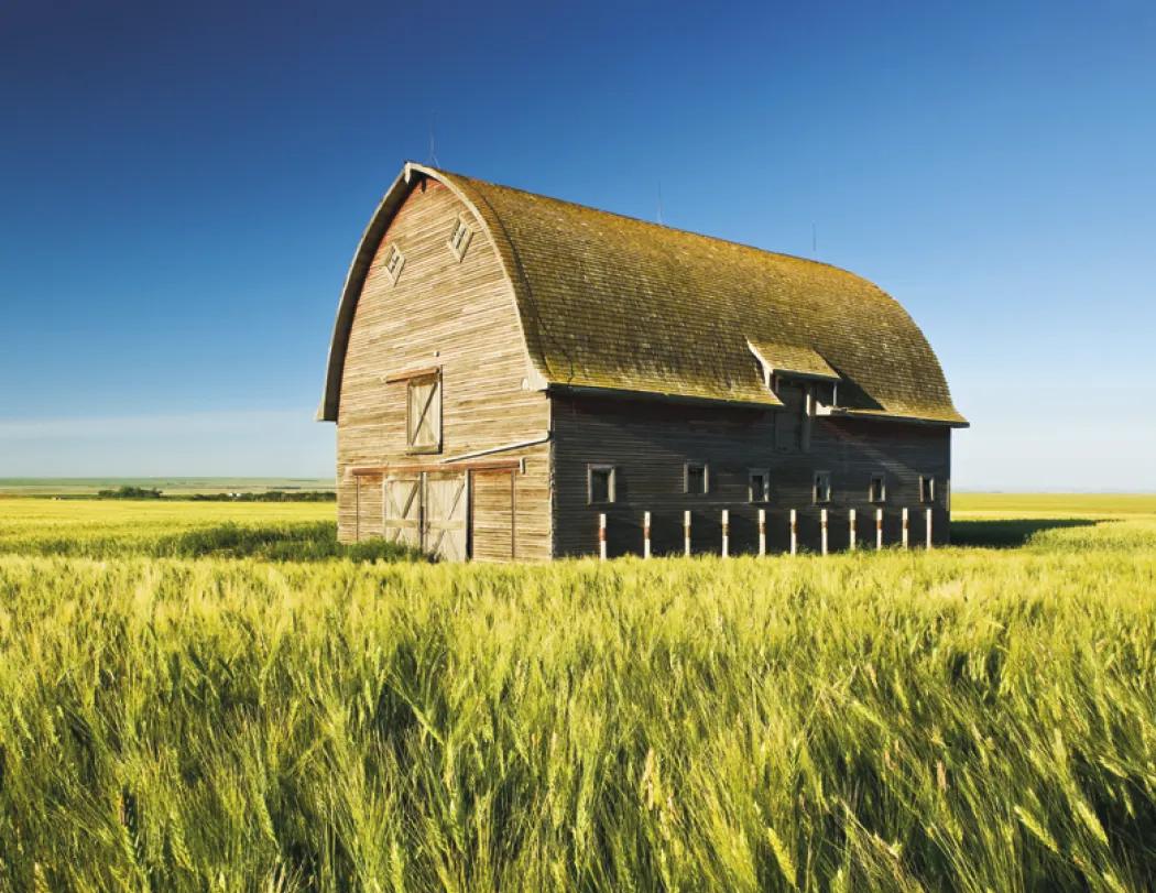 Barns Wall Calendar Historic Photography FSC - 18.5 x 11 in - product view 26