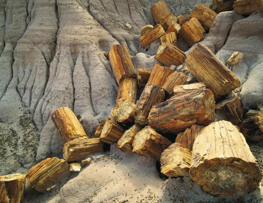 Forces Nature Calendar Weather Phenomena - 18.5 x 11 in - product view 21