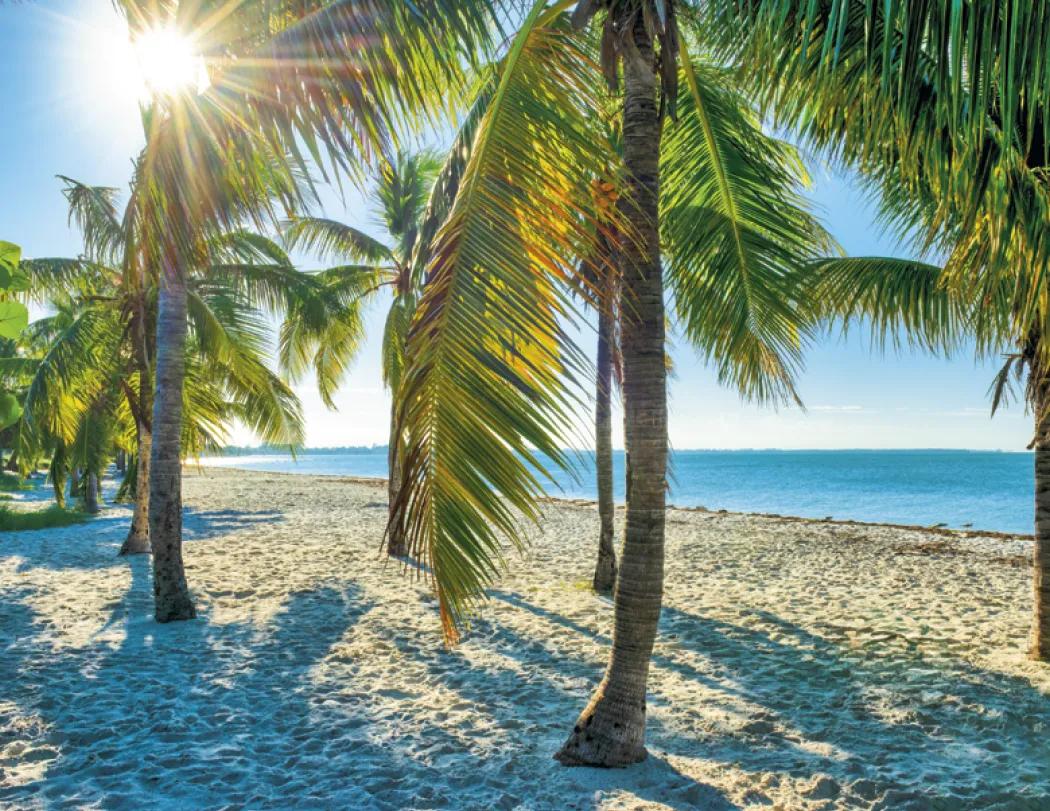 Beaches Wall Calendar Sun Splashed Photography - 18.5 x 11 in - product view 22