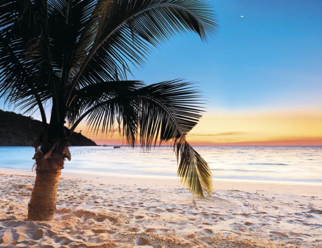 Beaches Wall Calendar Sun Splashed Photography - 18.5 x 11 in - product view 27