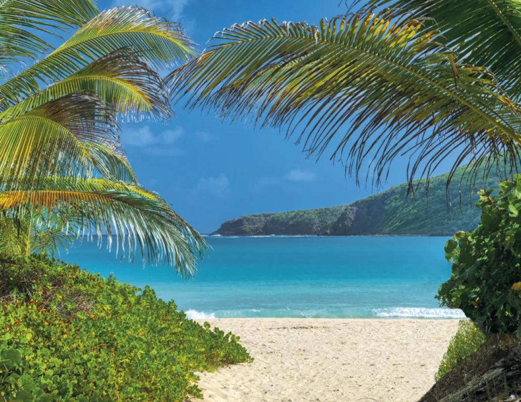 Beaches Wall Calendar Sun Splashed Photography - 18.5 x 11 in - product view 29