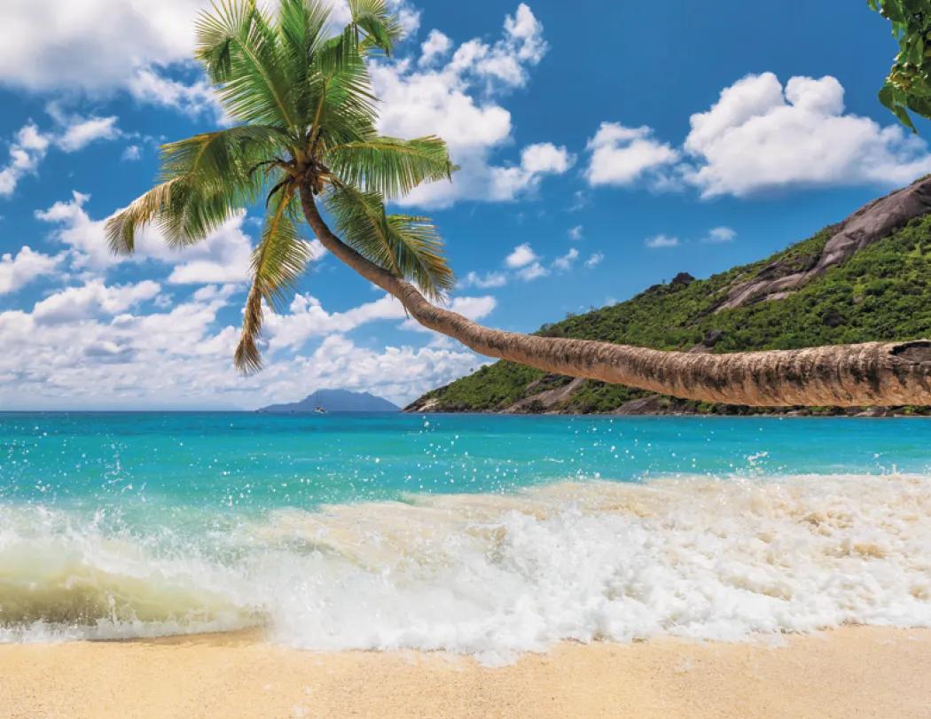 Beaches Wall Calendar Sun Splashed Photography - 18.5 x 11 in - product view 30