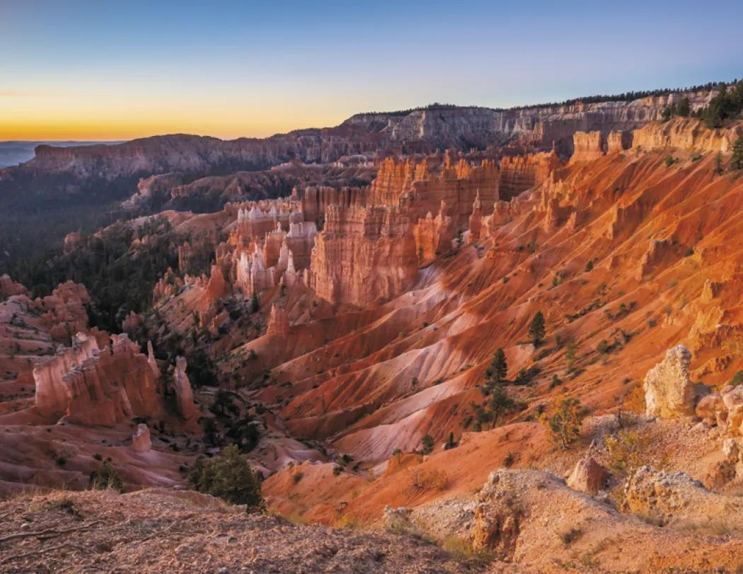 American Splendor Wall Calendar Scenic FSC - 18.5 x 11 in - product view 21