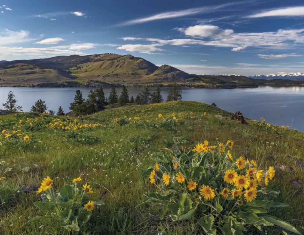 American Splendor Wall Calendar Scenic FSC - 18.5 x 11 in - product view 27