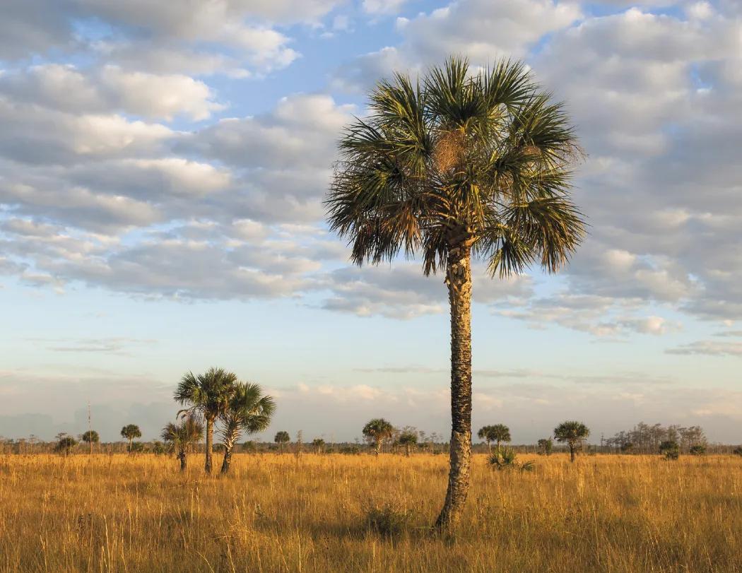 National Parks Wall Calendar Scenic FSC Paper - 18.5 x 11 in - product view 18