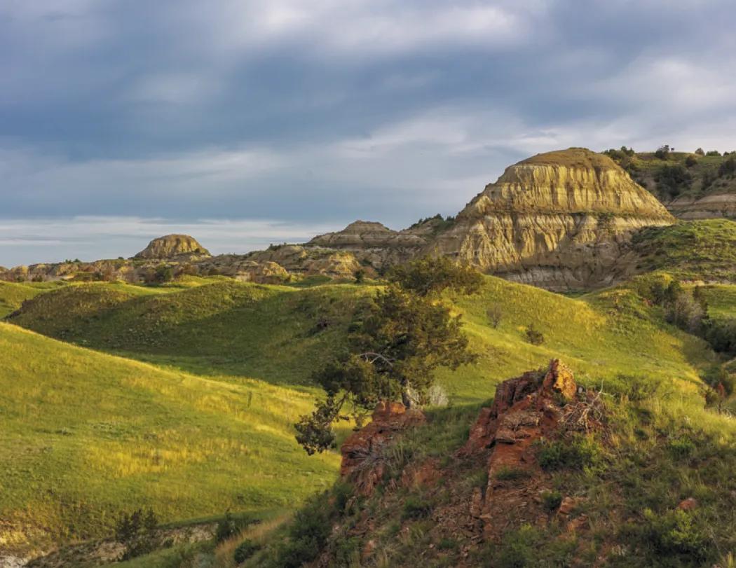 National Parks Wall Calendar Scenic FSC Paper - 18.5 x 11 in - product view 20