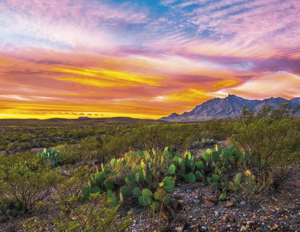 National Parks Wall Calendar Scenic FSC Paper - 18.5 x 11 in - product view 21