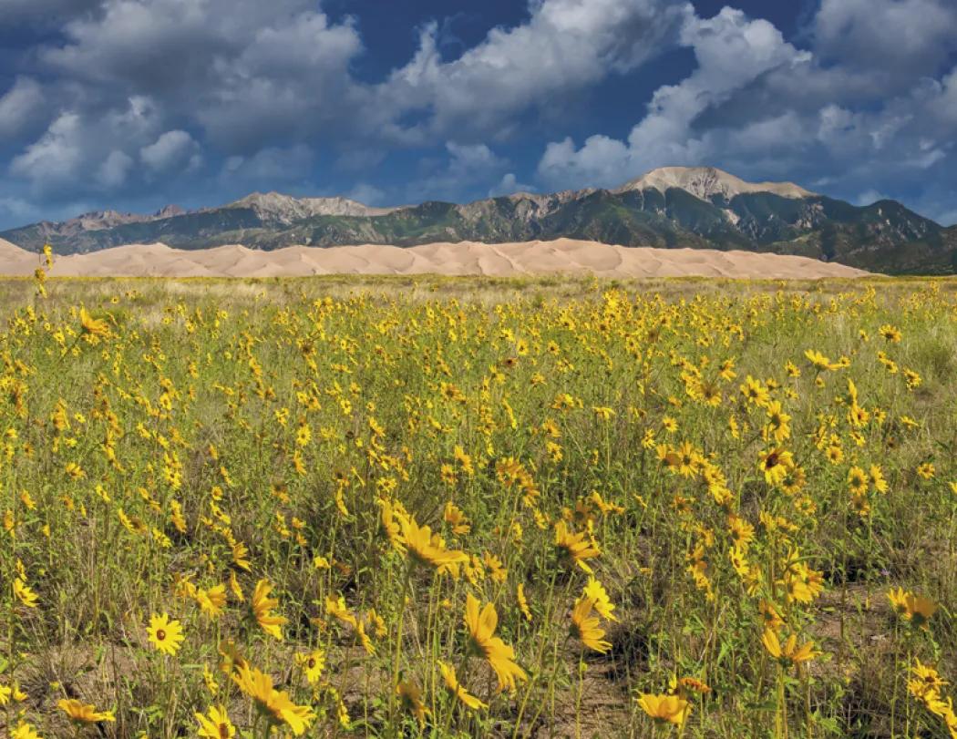 National Parks Wall Calendar Scenic FSC Paper - 18.5 x 11 in - product view 24