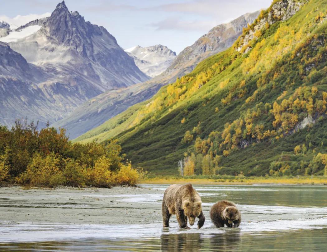 National Parks Wall Calendar Scenic FSC Paper - 18.5 x 11 in - product view 26