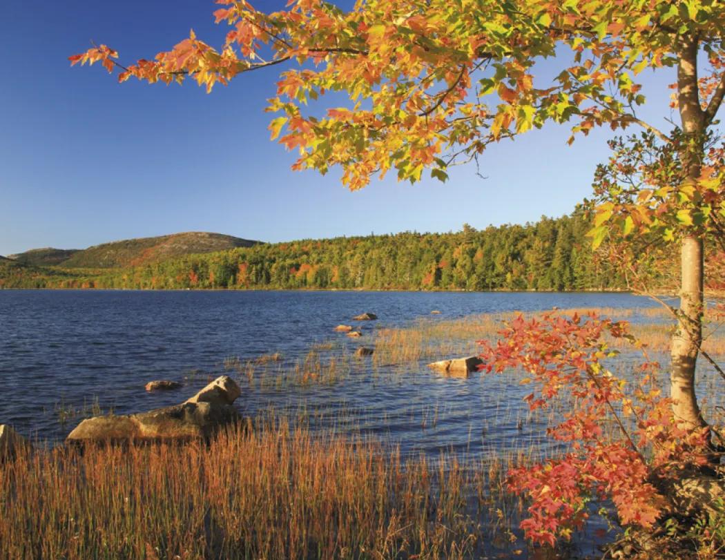 National Parks Wall Calendar Scenic FSC Paper - 18.5 x 11 in - product view 27