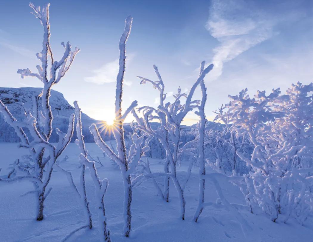 Sunrise Sunset Wall Calendar Colorful FSC - 18.5 x 11 in - product view 17