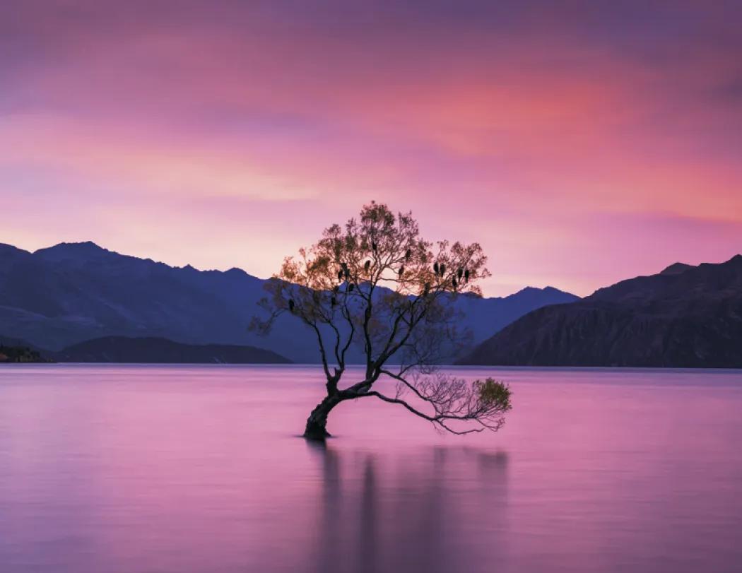 Sunrise Sunset Wall Calendar Colorful FSC - 18.5 x 11 in - product view 18