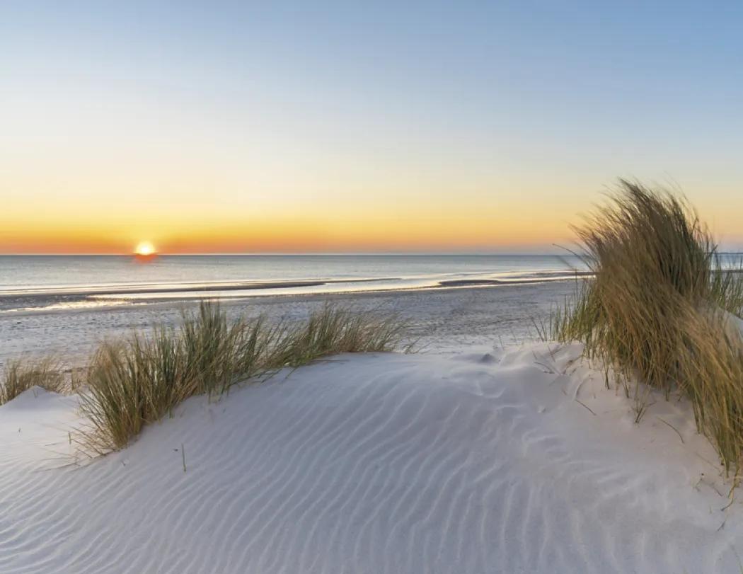 Sunrise Sunset Wall Calendar Colorful FSC - 18.5 x 11 in - product view 20