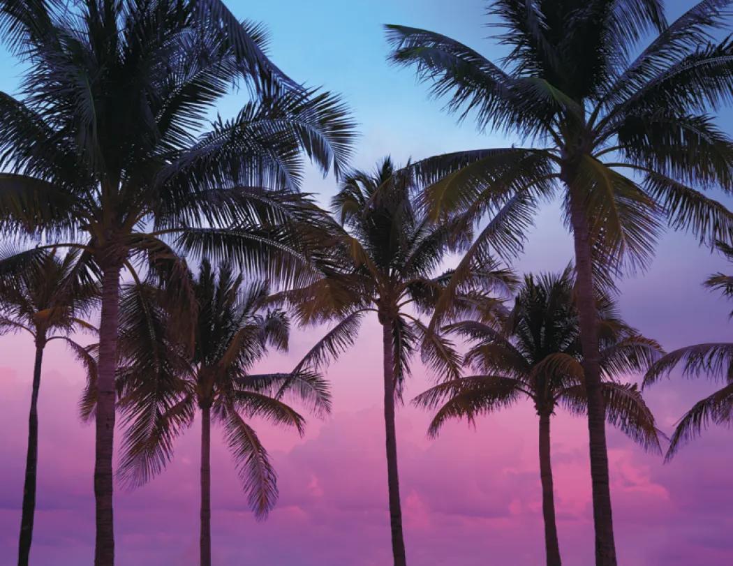 Sunrise Sunset Wall Calendar Colorful FSC - 18.5 x 11 in - product view 22