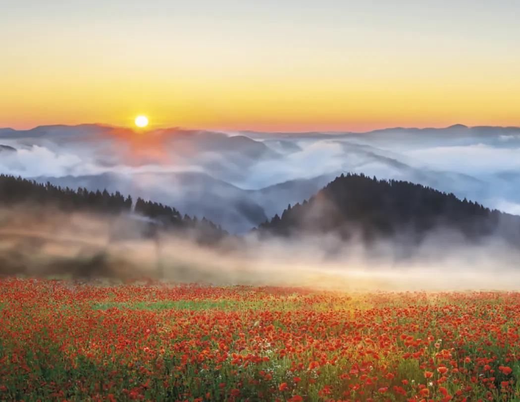 Sunrise Sunset Wall Calendar Colorful FSC - 18.5 x 11 in - product view 23