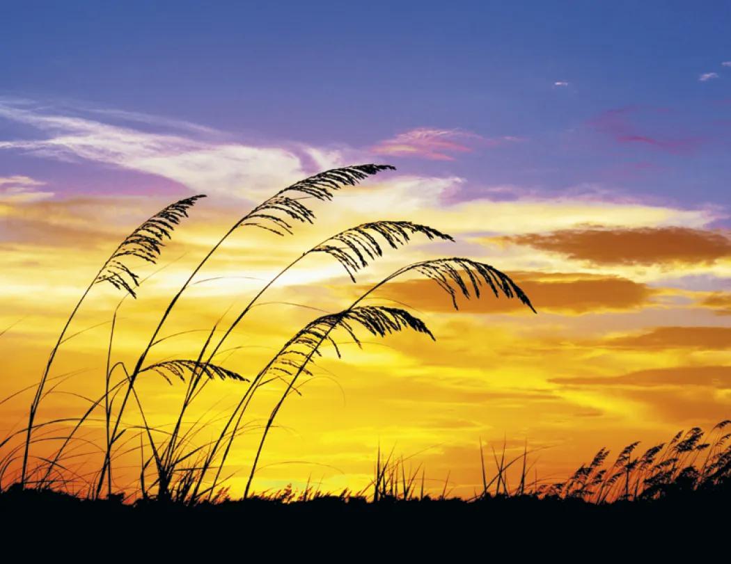 Sunrise Sunset Wall Calendar Colorful FSC - 18.5 x 11 in - product view 25