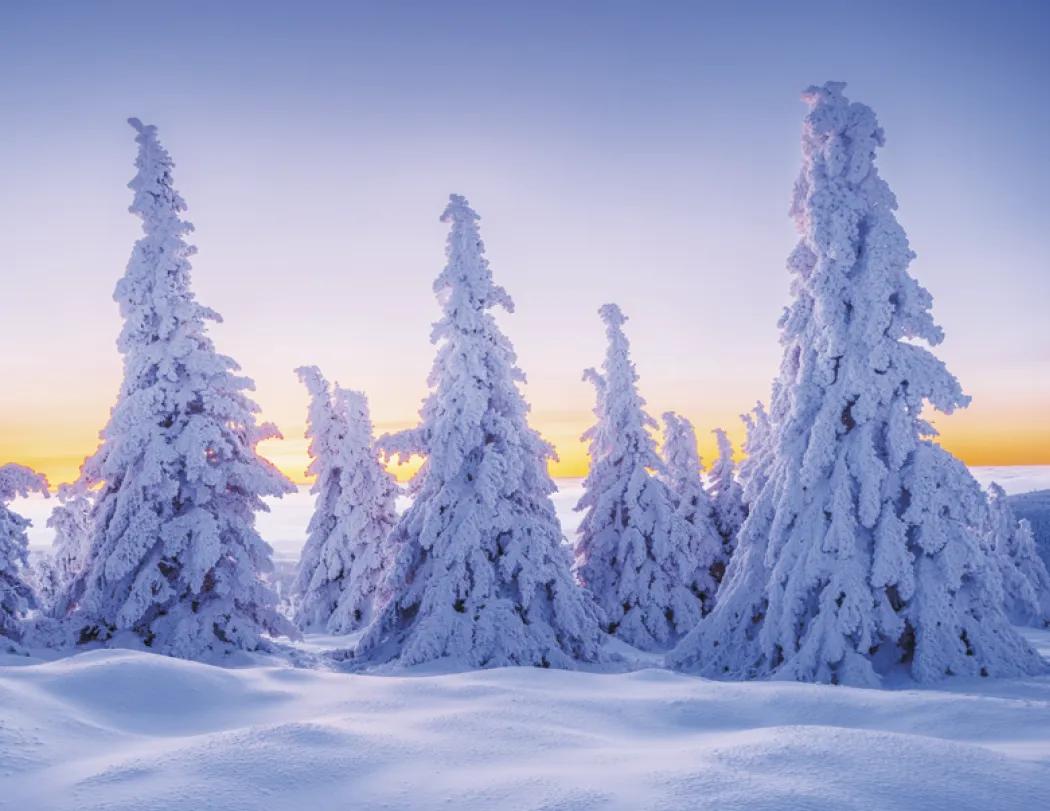 Sunrise Sunset Wall Calendar Colorful FSC - 18.5 x 11 in - product view 28