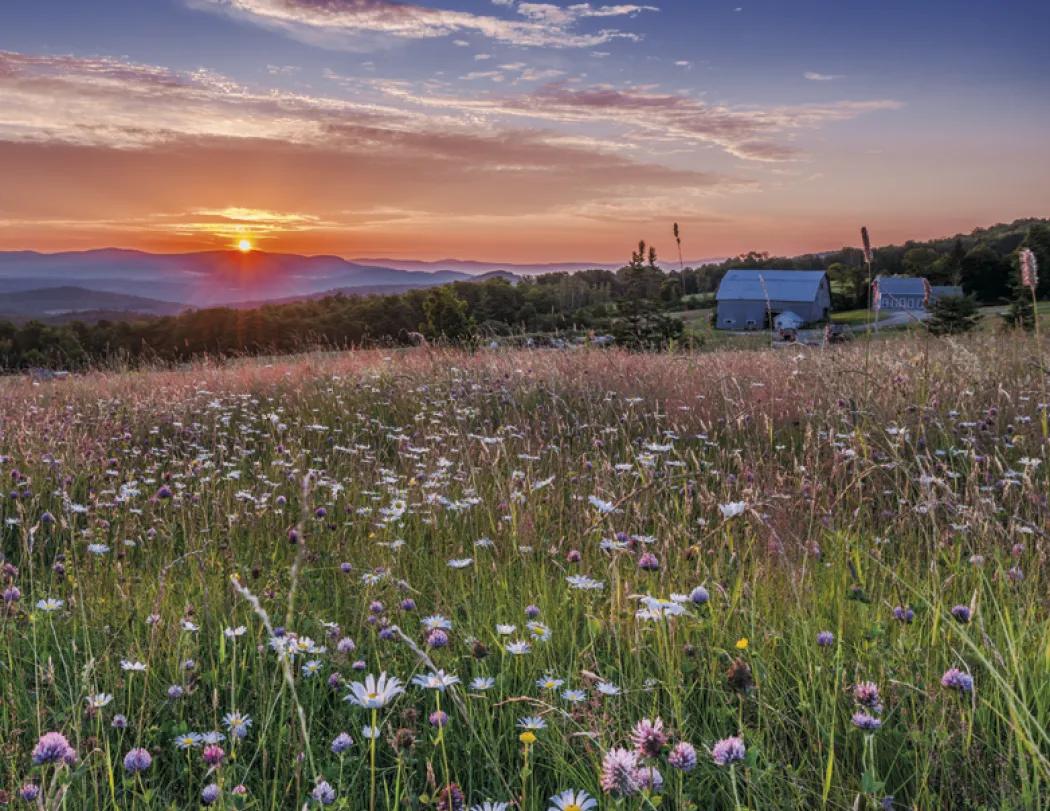 New England Wall Calendar Regional Photography - 18.5 x 11 in - product view 24