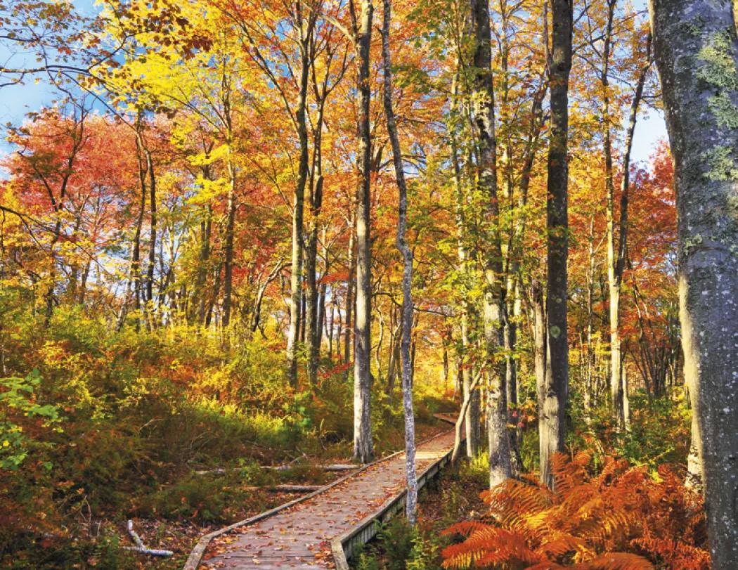 New England Wall Calendar Regional Photography - 18.5 x 11 in - product view 26