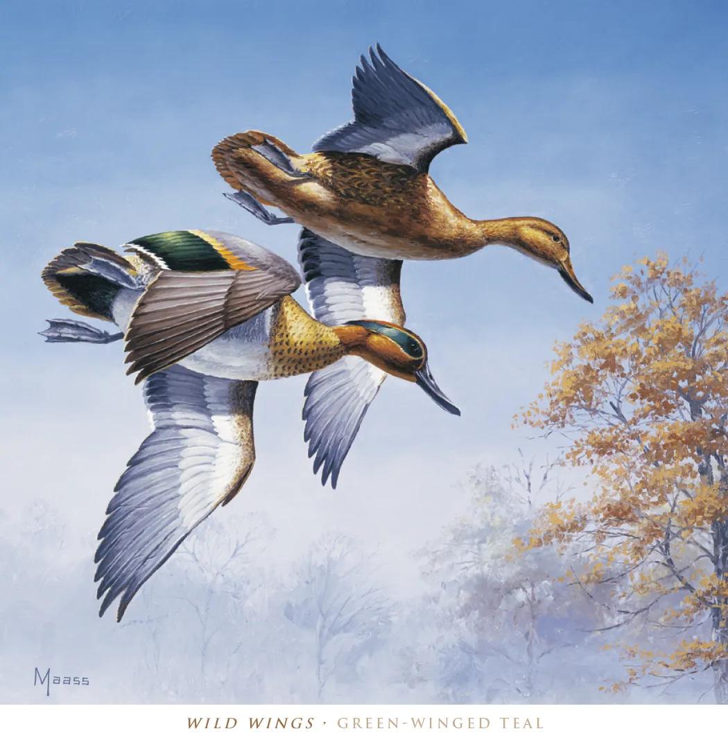 David Maass Executive Calendar Wildlife Art - 25 x 12 in - product view 9