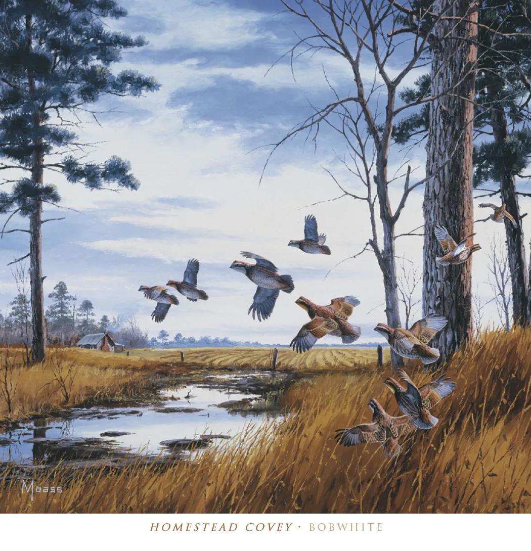 David Maass Executive Calendar Wildlife Art - 25 x 12 in - product view 12