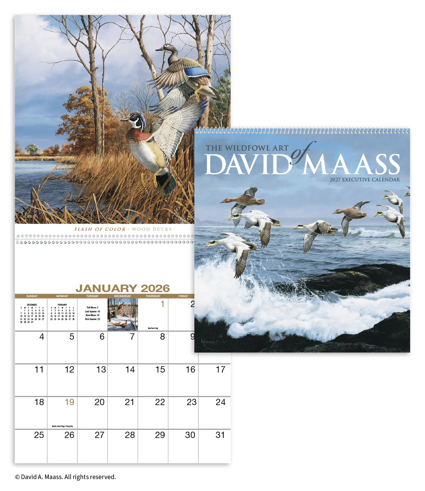 David Maass Executive Calendar Wildlife Art - 25 x 12 in - product view 18