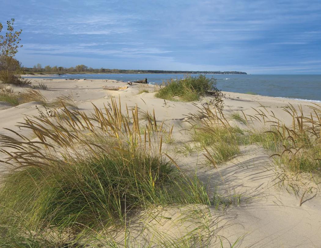 Michigan Wall Calendar Regional Scenery FSC - 18.5 x 11 in - product view 18