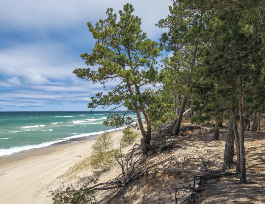 Michigan Wall Calendar Regional Scenery FSC - 18.5 x 11 in - product view 23