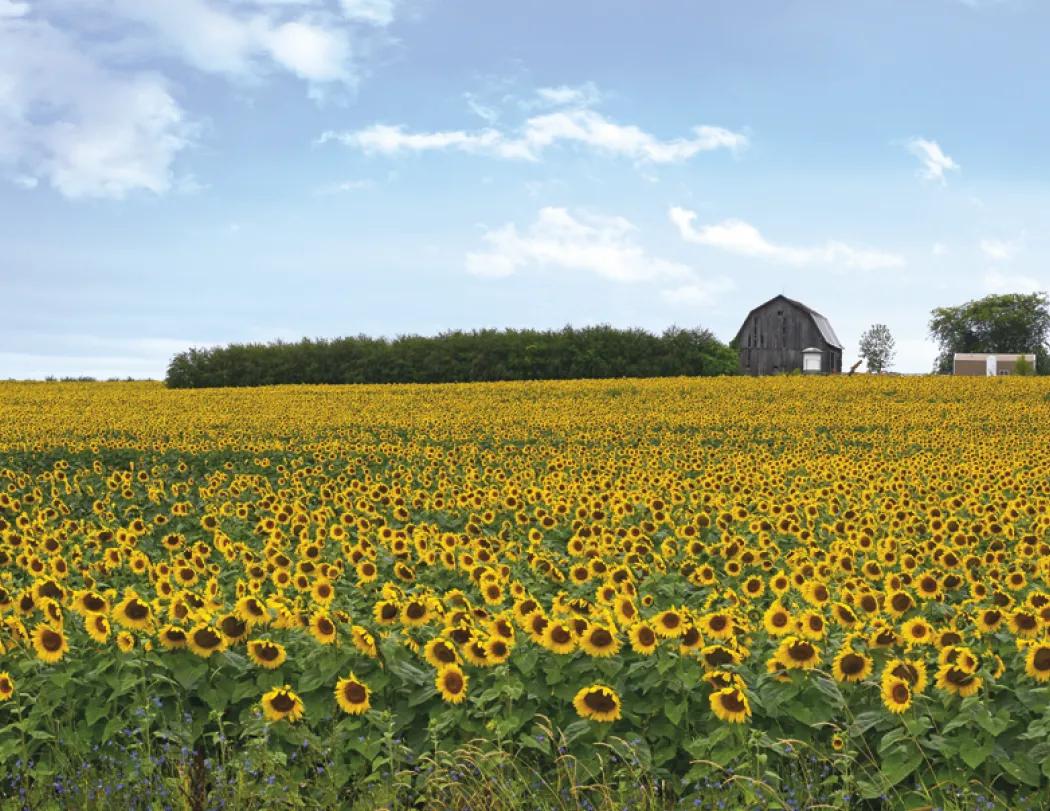 Michigan Wall Calendar Regional Scenery FSC - 18.5 x 11 in - product view 24