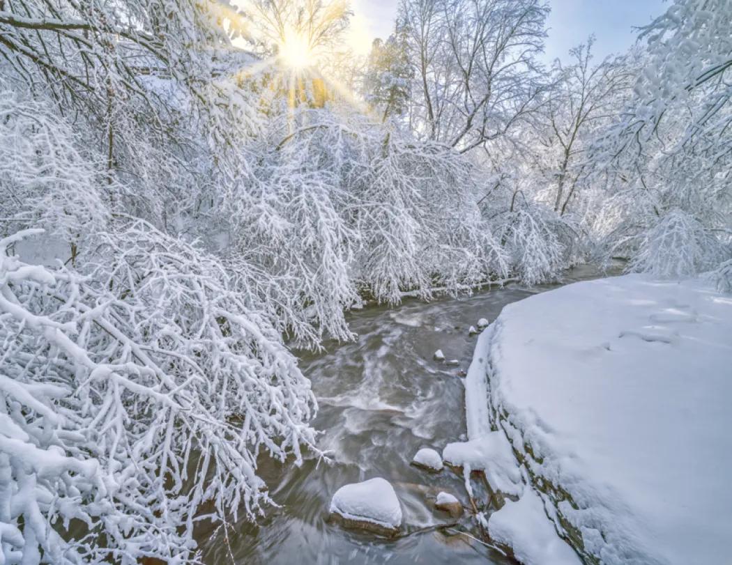 Minnesota Wall Calendar FSC Certified Gloss - 18.5 x 11 in - product view 28