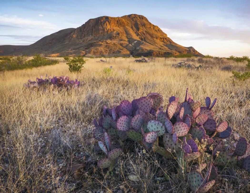 Texas Wall Calendar FSC Certified Gloss - 18.5 x 11 in - product view 17