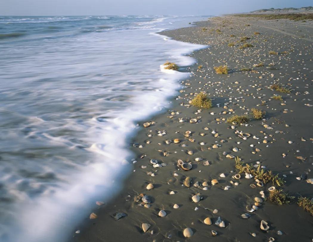 Texas Wall Calendar FSC Certified Gloss - 18.5 x 11 in - product view 18