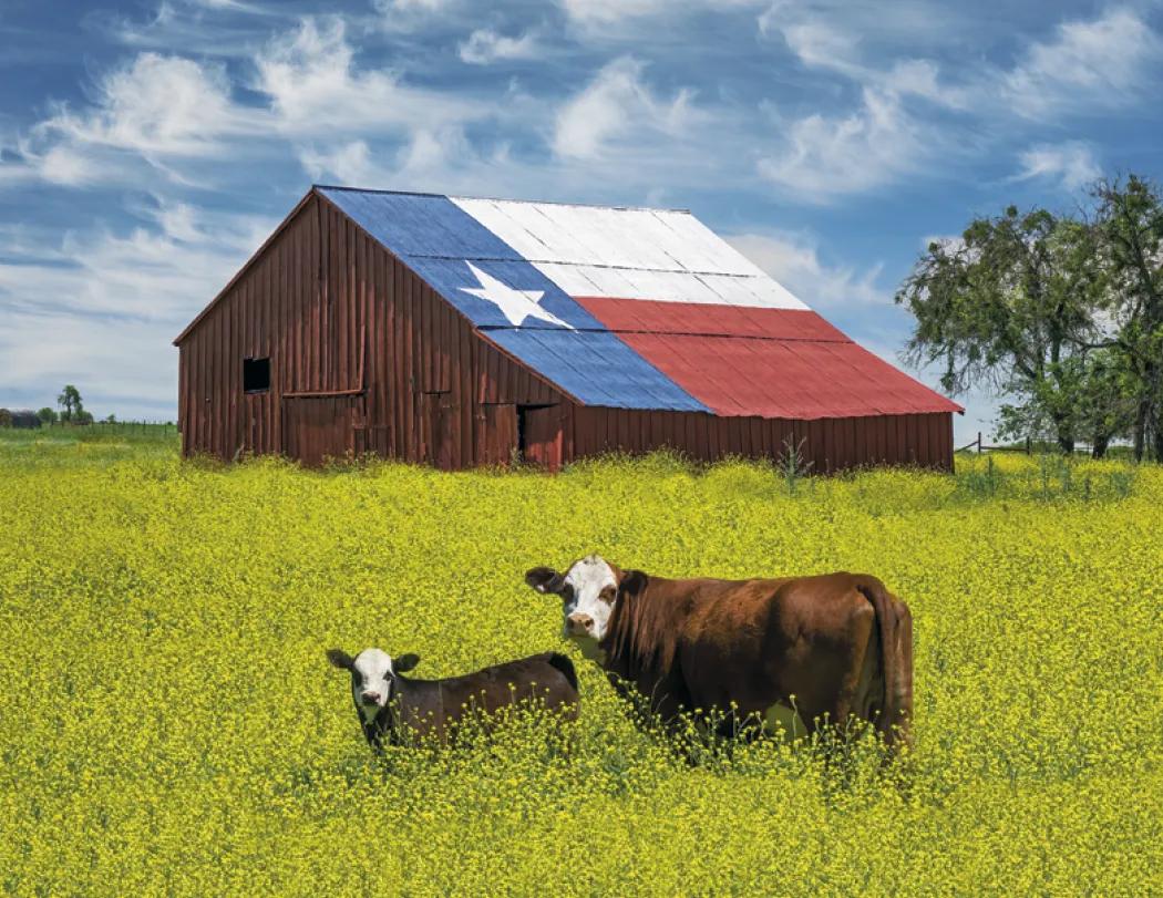 Texas Wall Calendar FSC Certified Gloss - 18.5 x 11 in - product view 20