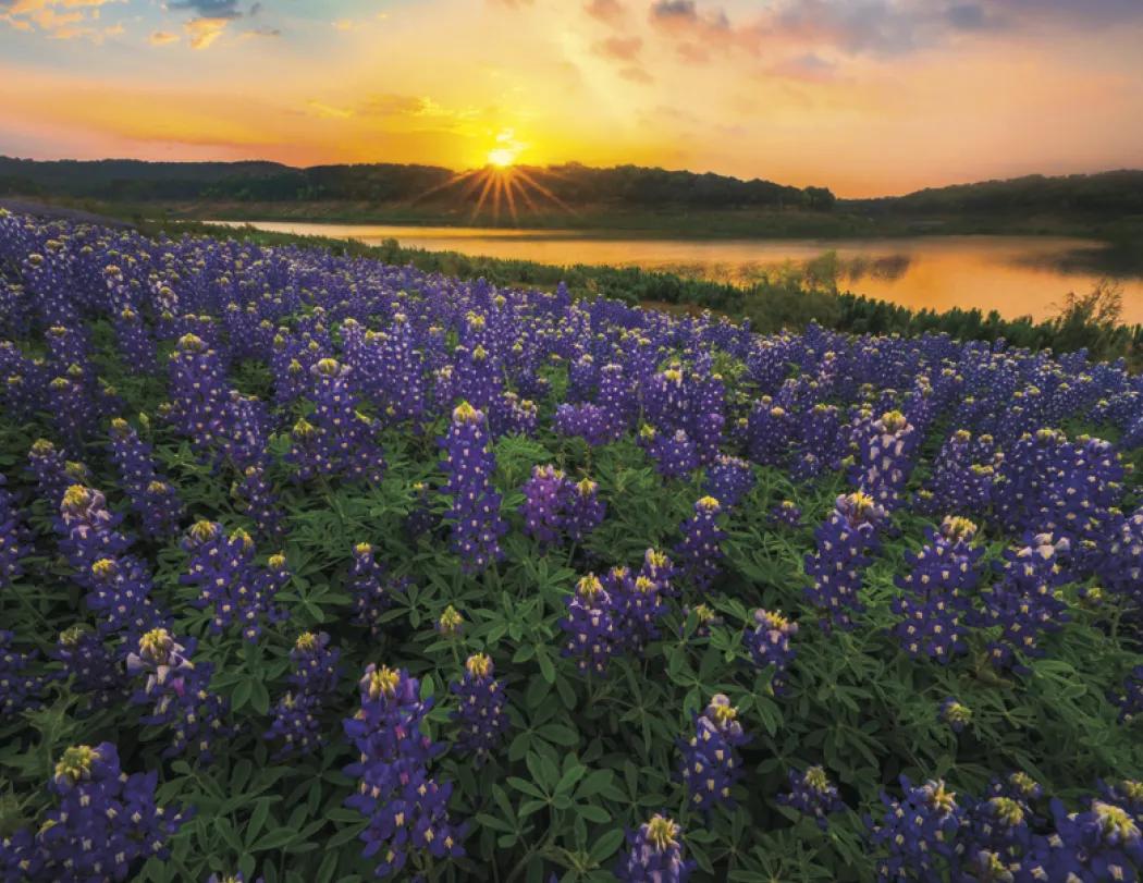 Texas Wall Calendar FSC Certified Gloss - 18.5 x 11 in - product view 21