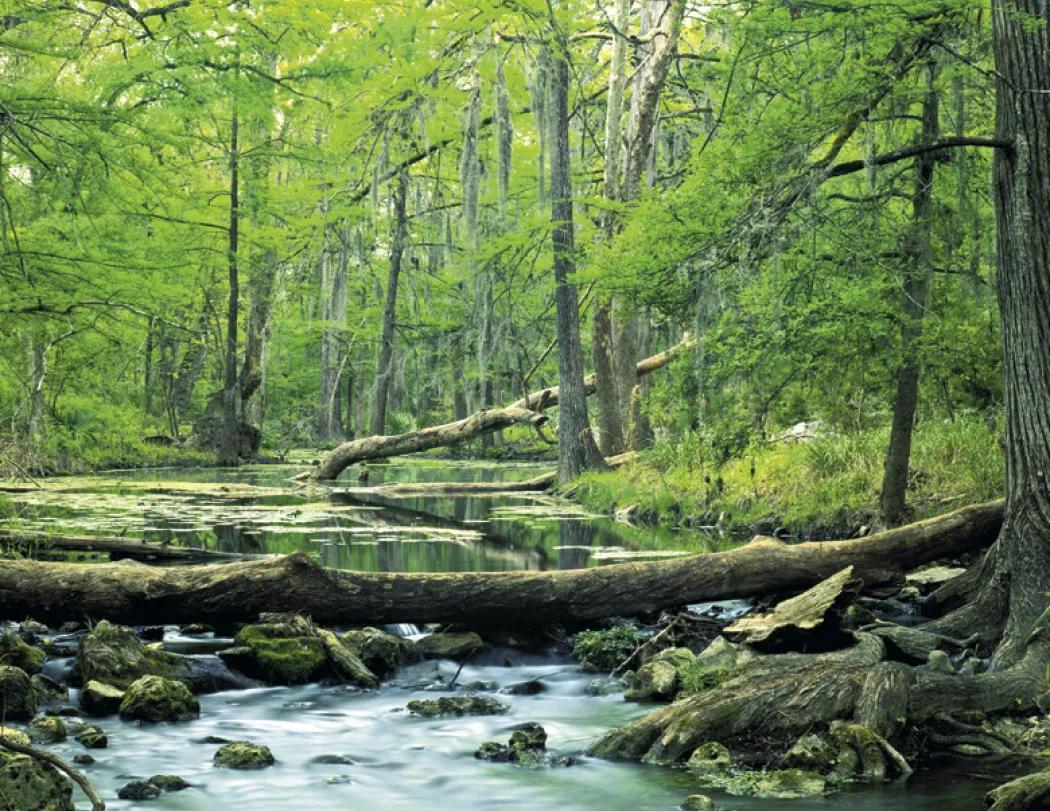 Texas Wall Calendar FSC Certified Gloss - 18.5 x 11 in - product view 23