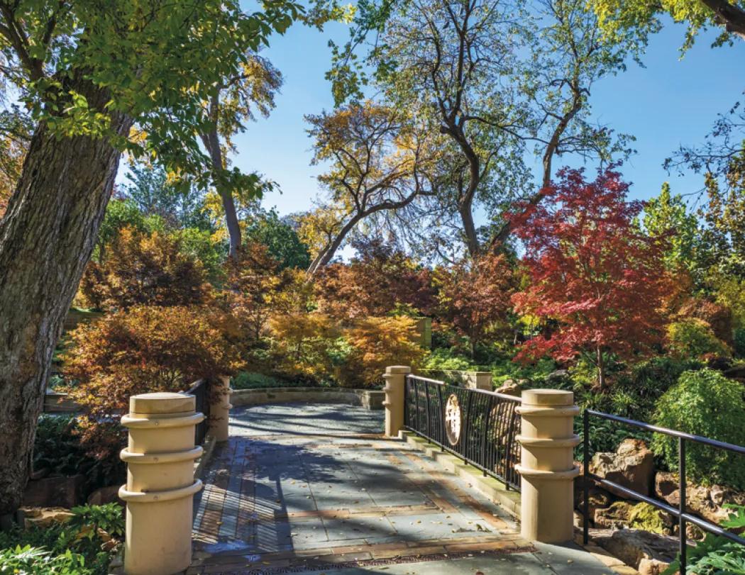 Texas Wall Calendar FSC Certified Gloss - 18.5 x 11 in - product view 25