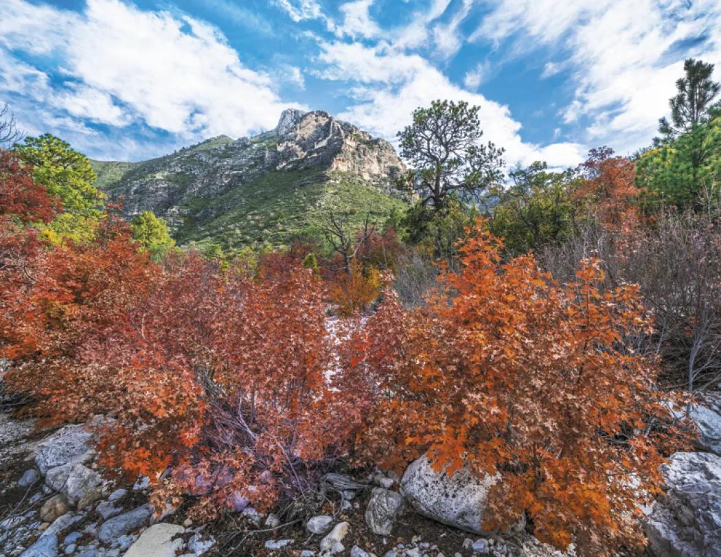 Texas Wall Calendar FSC Certified Gloss - 18.5 x 11 in - product view 26