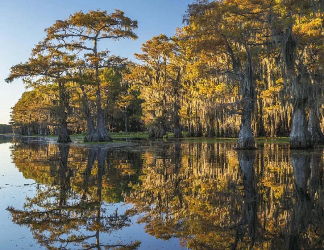 Texas Wall Calendar FSC Certified Gloss - 18.5 x 11 in - product view 27