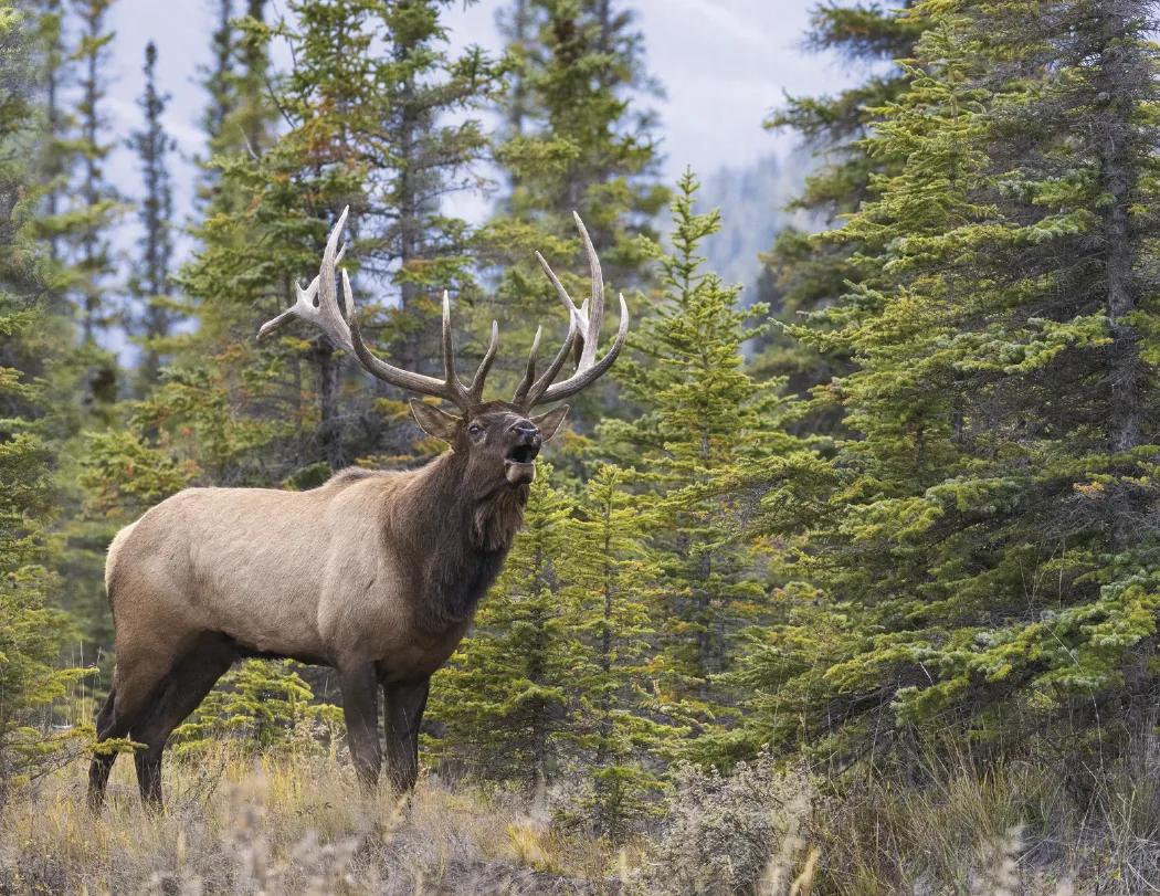 Great Lakes Sportsman Calendar Regional Guide - 18.5 x 11 in - product view 19