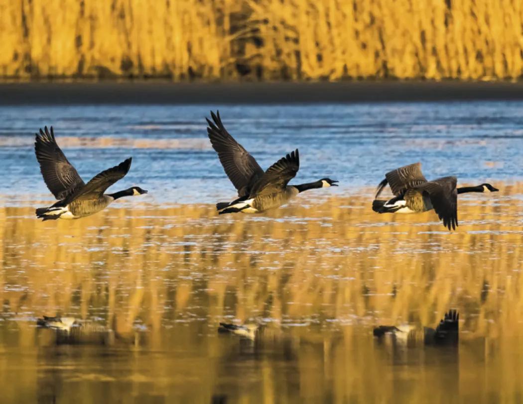 Great Lakes Sportsman Calendar Regional Guide - 18.5 x 11 in - product view 25