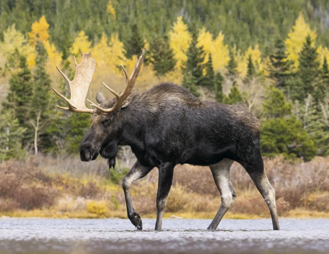 Great Lakes Sportsman Calendar Regional Guide - 18.5 x 11 in - product view 26